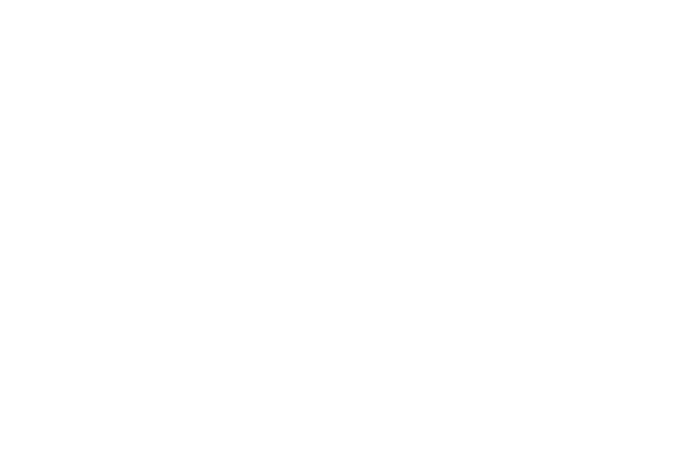 Septek Filter